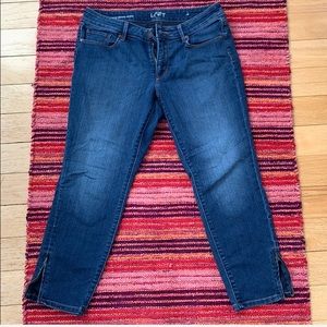 Loft Skinny Ankle Jeans Curvy Fit Denim, Zipper on sides Size 28, 6P